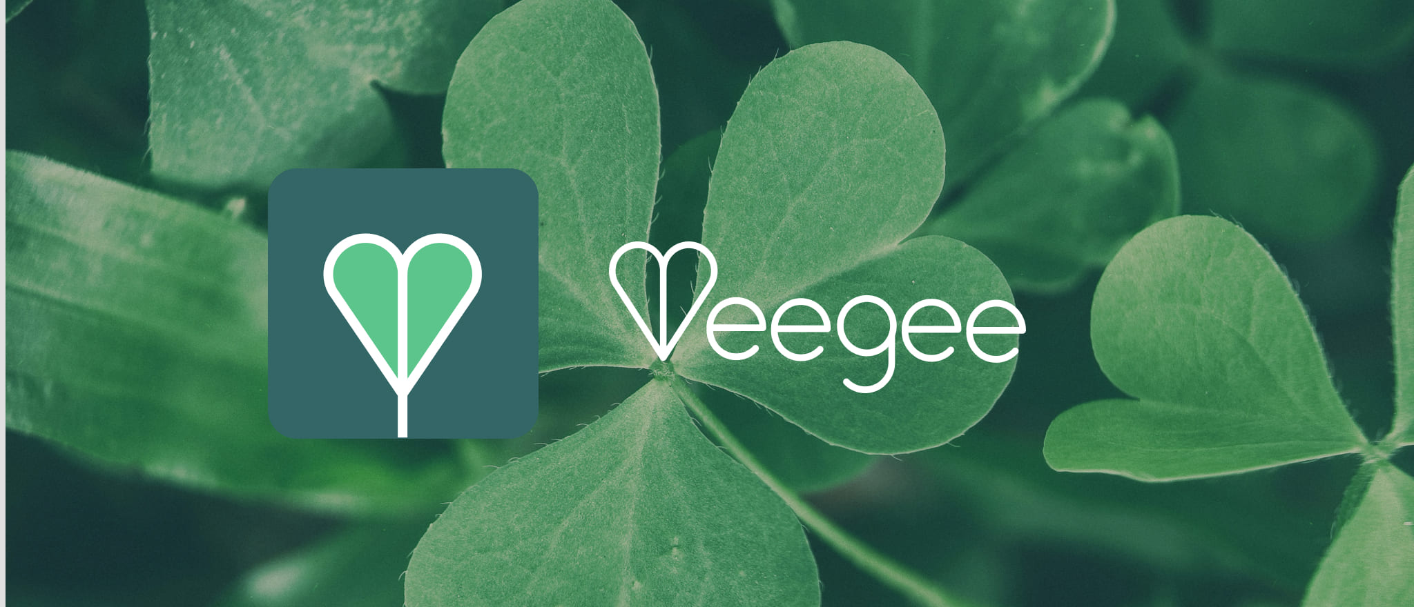 Bannière Veegee