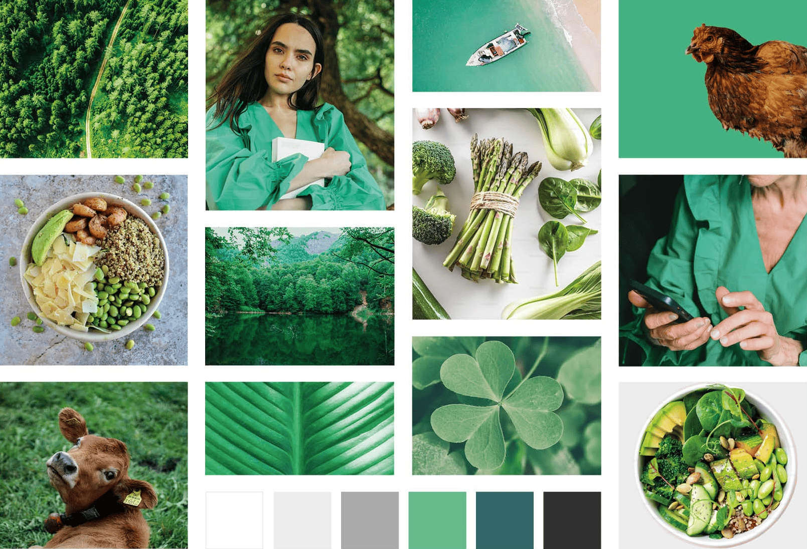 Moodboard et planche tendance